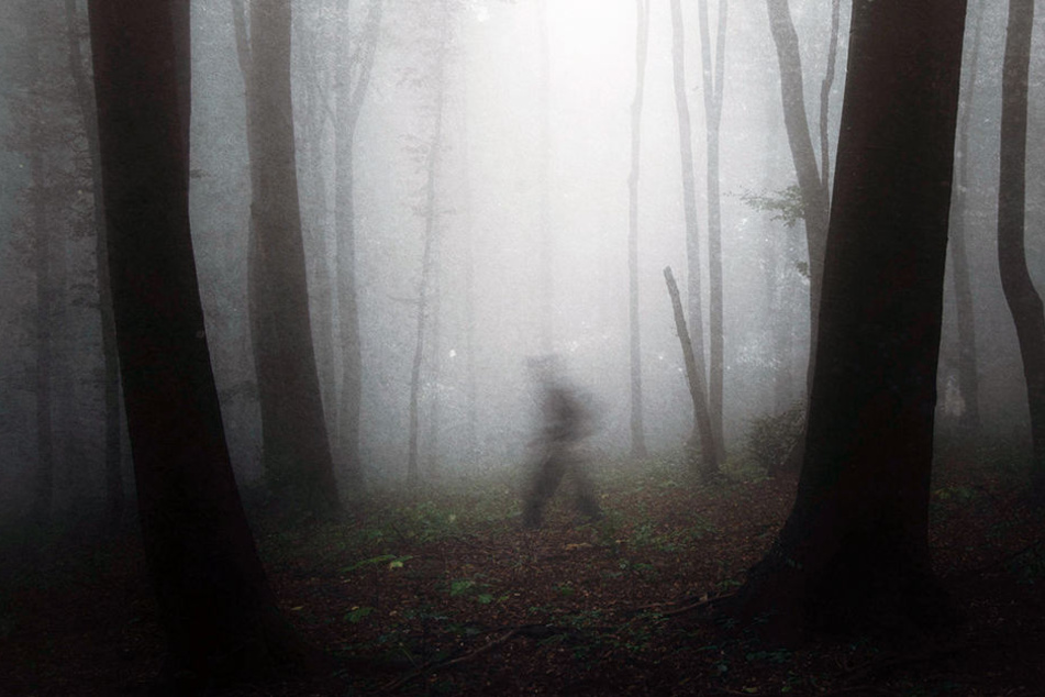 Die App lockt die Spieler in den eigenen Wald. (Symbolbild)