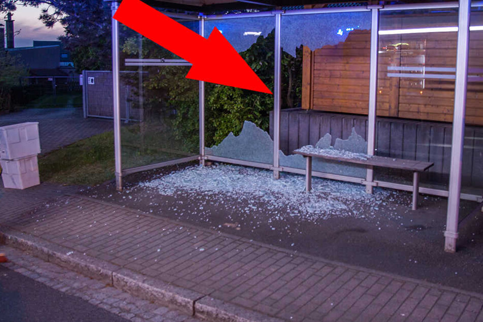 So übel richteten die Vandalen insgesamt sieben Haltestellen zu.