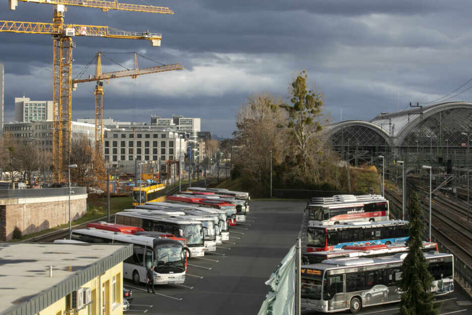 Am Busparkplatz an der Ammonstraße wurden die Beamten auf das Gefährt aufmerksam.