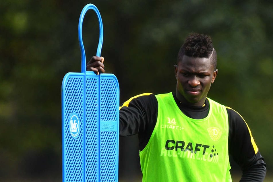 Im vergangenen Winter verpflichtete Dynamo den Senegalesen Moussa Koné, der sich als ein echter Glücksgriff entpuppte.