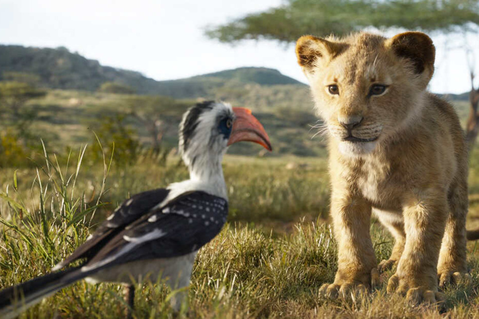 Simba (r.) mit seinem Berater und Bewacher Zazu.
