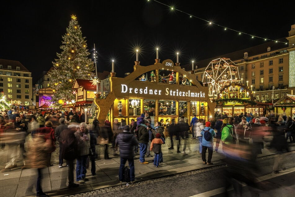 Die Nordmanntanne auf dem Dresdner Striezelmarkt ist 20,70 Meter hoch.