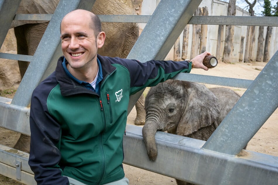 Genauso der kleine Elefantenbulle Simon, über dessen Geburt sich Anfang 2024 nicht nur Zoodirektor Dr. Dennis Müller freute.
