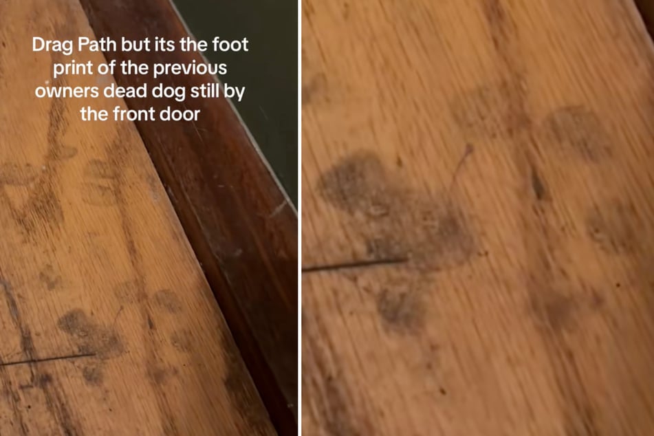 Auf der Türschwelle hatte sich der Vierbeiner der Vorbesitzer verewigt.