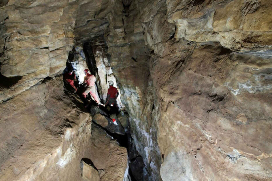 Die Höhle könnte vielleicht größer als die Atta-Höhle sein.