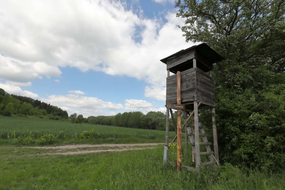Unbekannte haben in Oelsnitz im Vogtland eine Jagdkanzel in die Luft gesprengt. (Symbolbild)