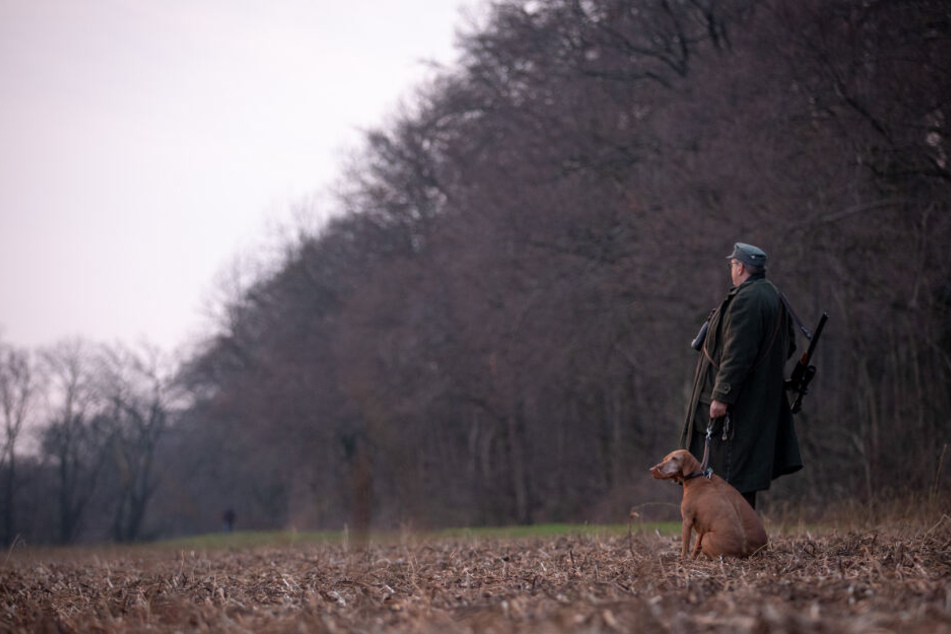 Jäger dürfen Rehe, Hirsche und Gämse nun auch außerhalb der Jagdzeiten schießen. (Symbolbild)