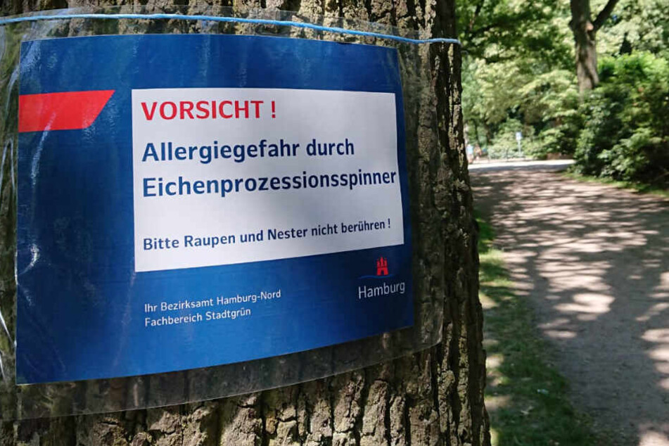 Das Bezirksamt Hamburg warnt im Stadtpark vor den Eichenporzessionsspinnern.