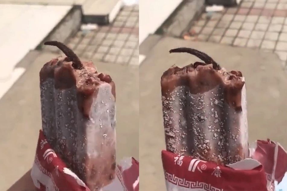 Was aus diesem Eis ragt, soll ein Rattenschwanz sein.