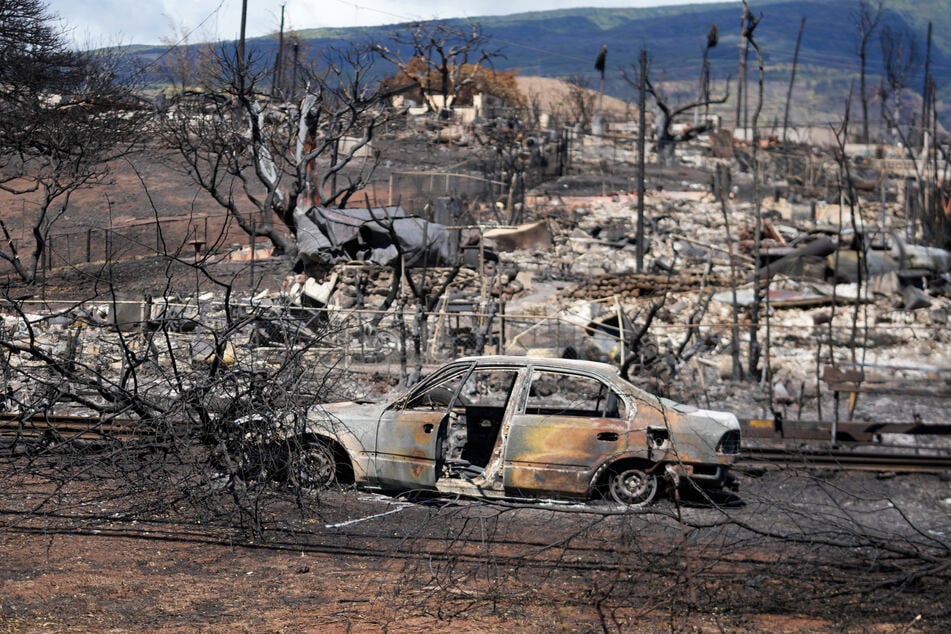 Die Waldbrände haben karge und traurige Landschaften hinterlassen.