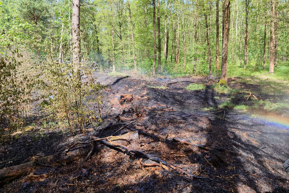 Zurück blieben trotzdem rund 1,5 Hektar verbranntes Land.