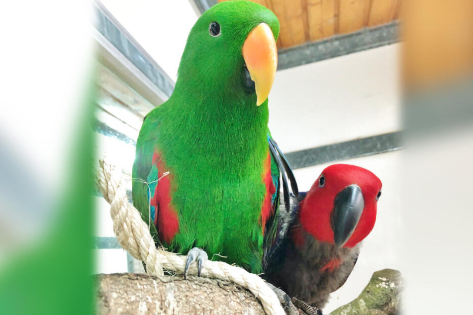 So Suss Und So Traurig Hast Du Ein Herz Fur Einen Neuen Freund Tag24
