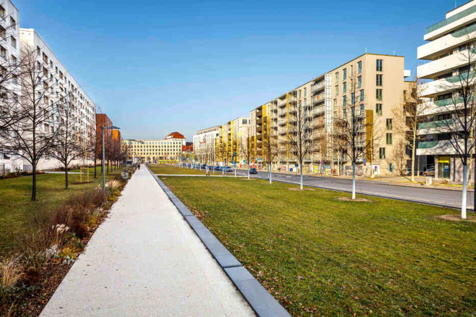 Aktuell ist der Promenadenring zwischen Postplatz und Dippoldiswalder Platz recht kahl.