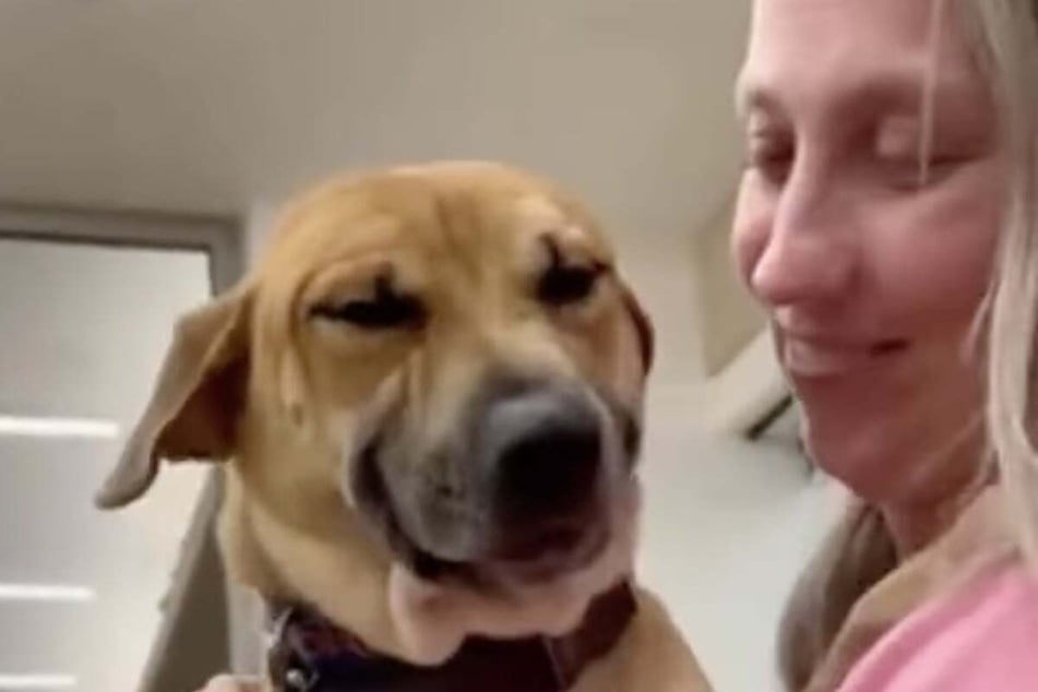 The woman fell in love with the Eugene while she was fostering him over the holidays.