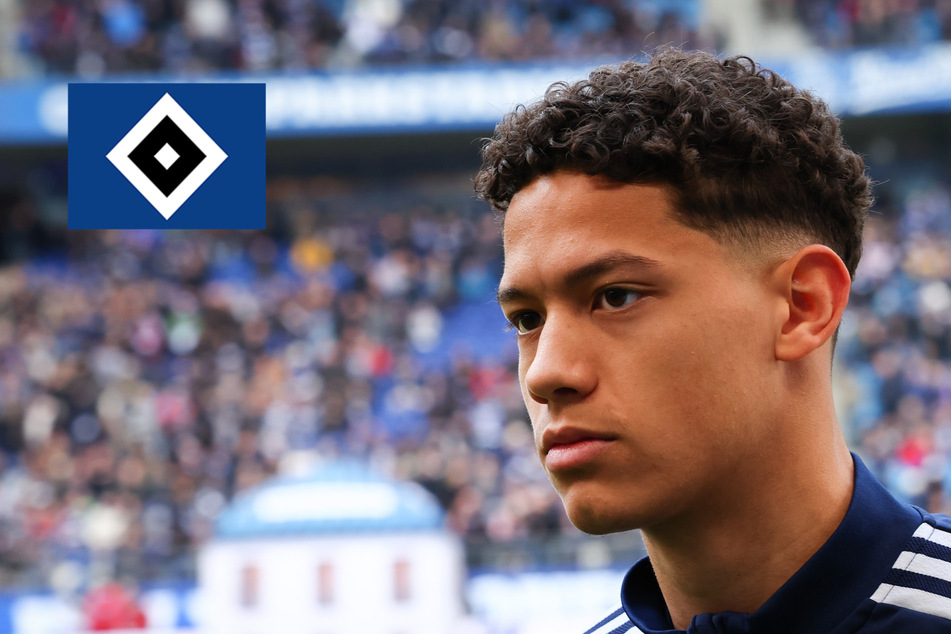 Gelingt HSV-Stürmer Nemeth der Durchbruch - Oder ist Stange die bessere Wahl?