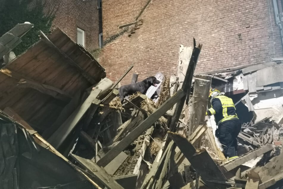 Die Feuerwehr suchte zur Sicherheit mit Hunden nach möglichen Verschütteten.