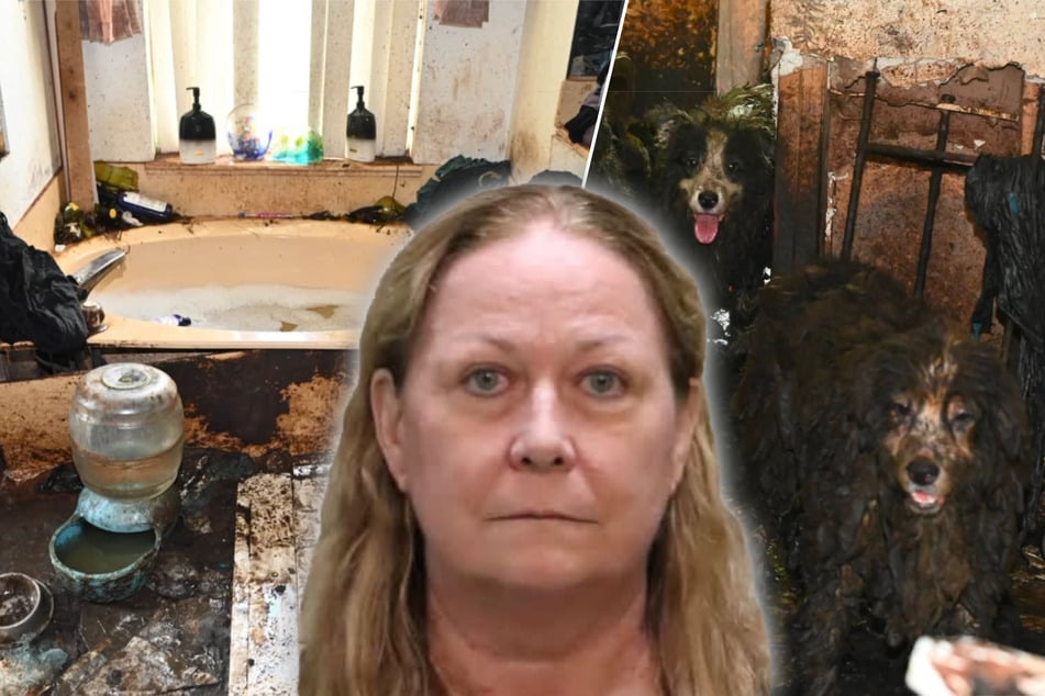 Polizei rettet 36 Hunde aus den Fängen einer Tierquälerin: "Sie waren mit Kot und Urin beschmutzt"