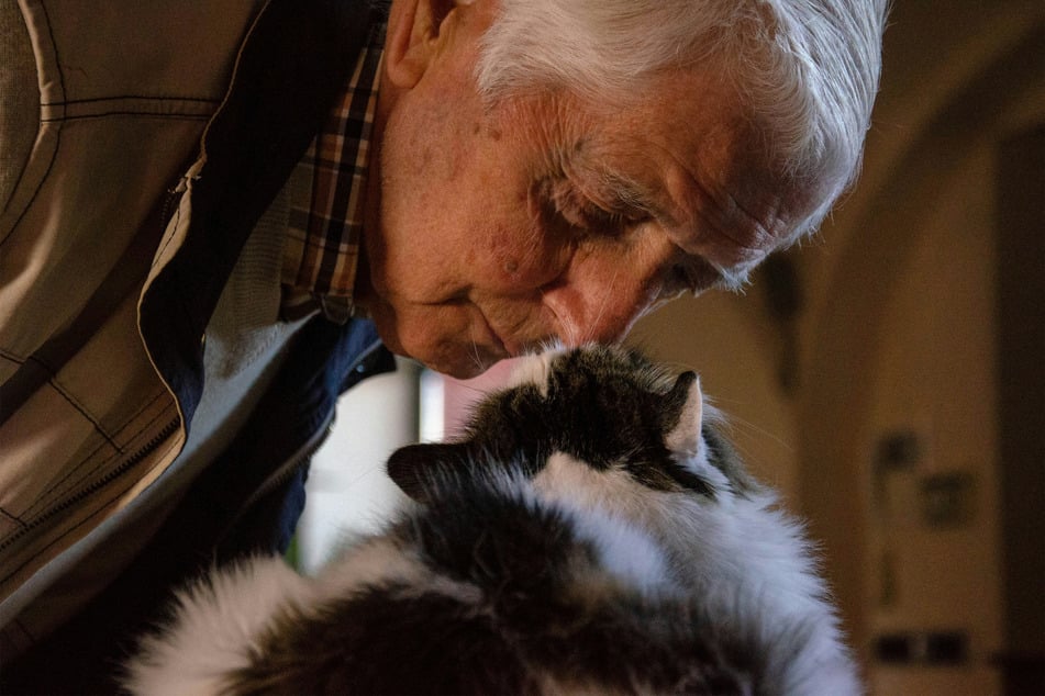 Older humans and older cats don't suffer the same symptoms.