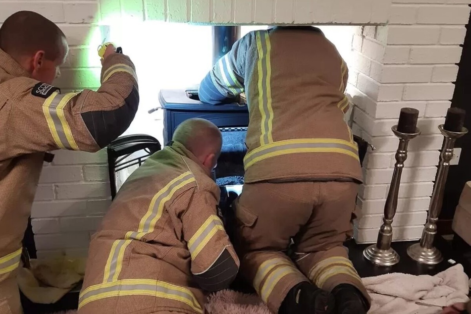 Members of the local fire department had to free the owl from a resident's chimney.