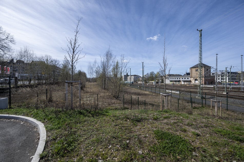 Dieses Areal an der Dresdner Straße wird von der Stadt als neuer Busbahnhof-Standort favorisiert.