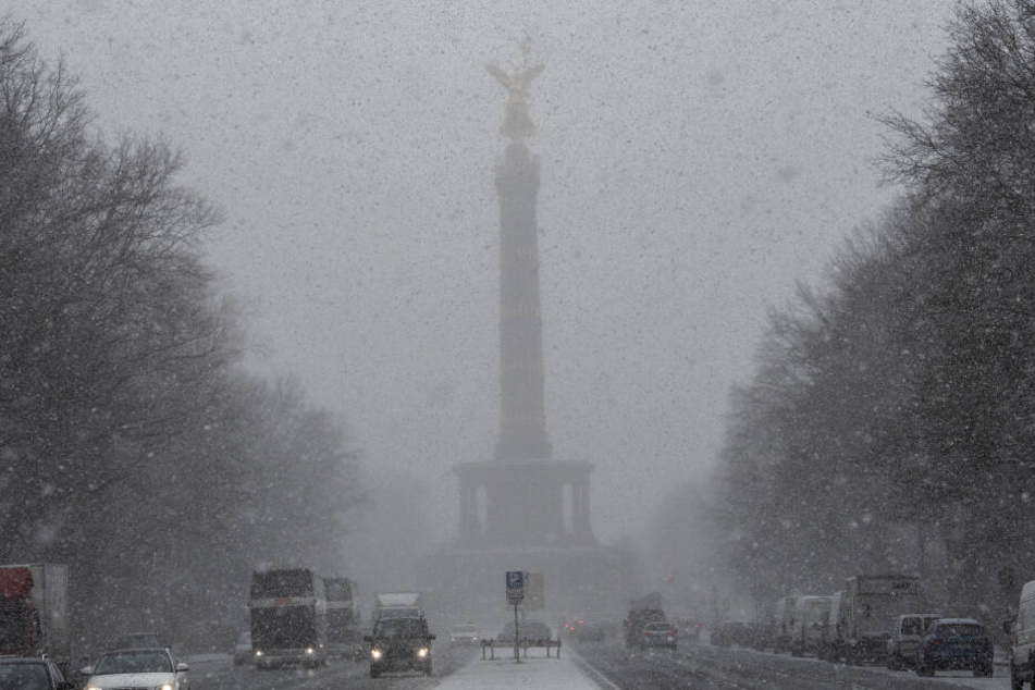 Der Klimawandel ist im vollen Gange. In Berlin soll ein entsprechendes Institut entstehen. (Symbolbild)