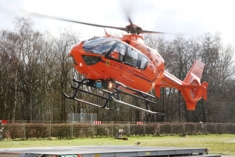 Motorradfahrer rast gegen trächtige Hirschkuh und verletzt sich schwer