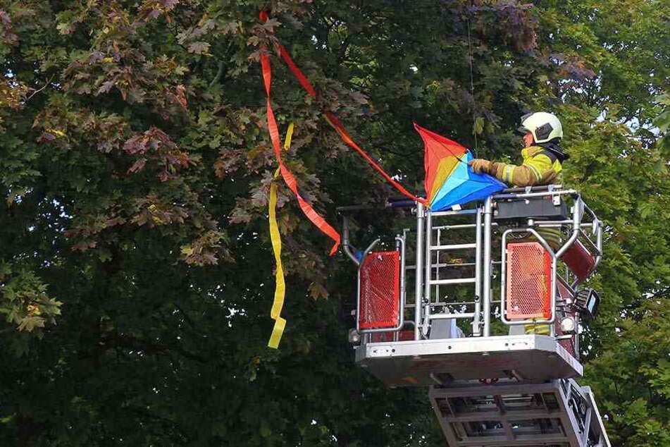 Mit einer Drehleiter wurde der Drachen aus dem Baum gefischt.