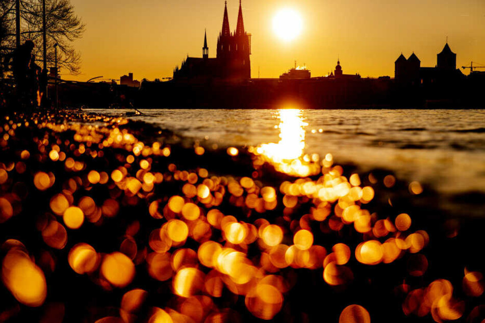 Köln hatte im vor zwei Wochen den "Klimanotstand" ausgerufen.