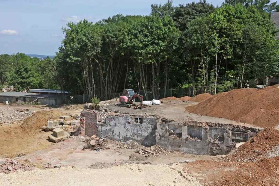 Beim Abriss des "Aktivist" wurden geheime Keller entdeckt. (Archivbild)