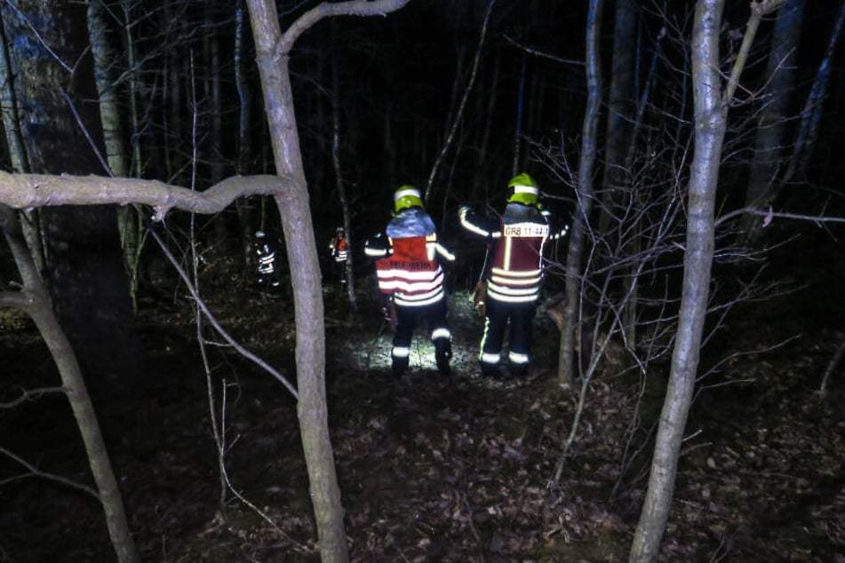 Die Einsatzkräfte suchten mitten in der Nacht ein Waldstück nach dem offenbar verschwundenen Beifahrer ab.