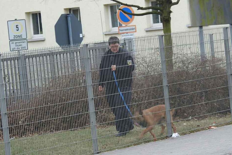 Das Gelände wird mit Spürhunden abgesucht.