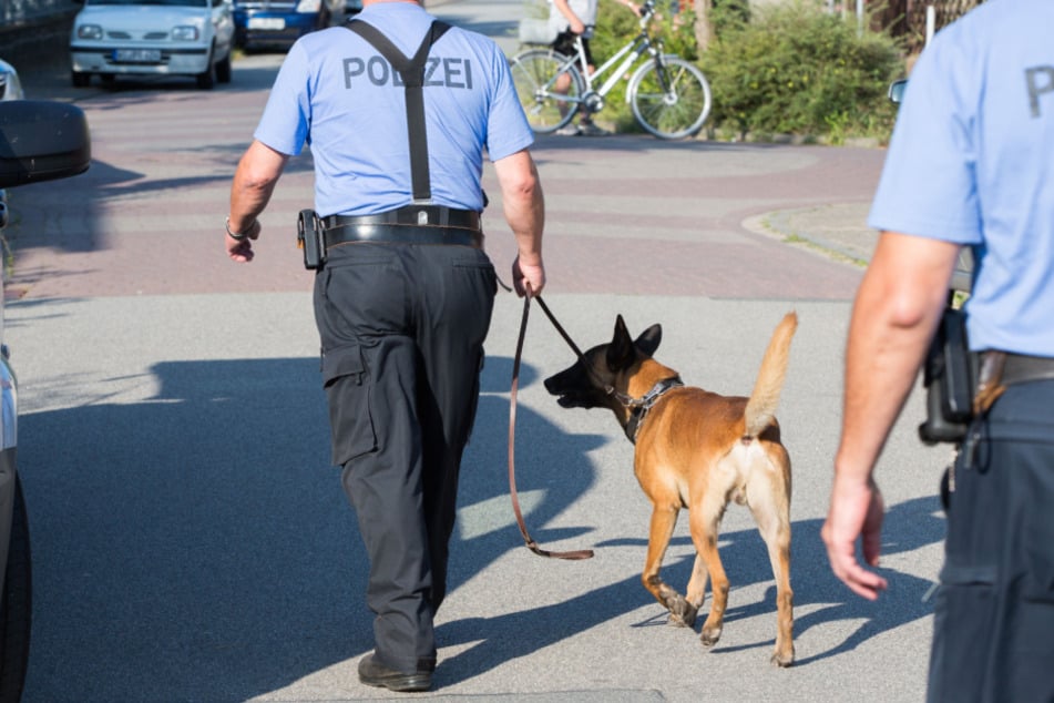 Versuchter Einbruch: Hund entdeckt wichtiges Detail