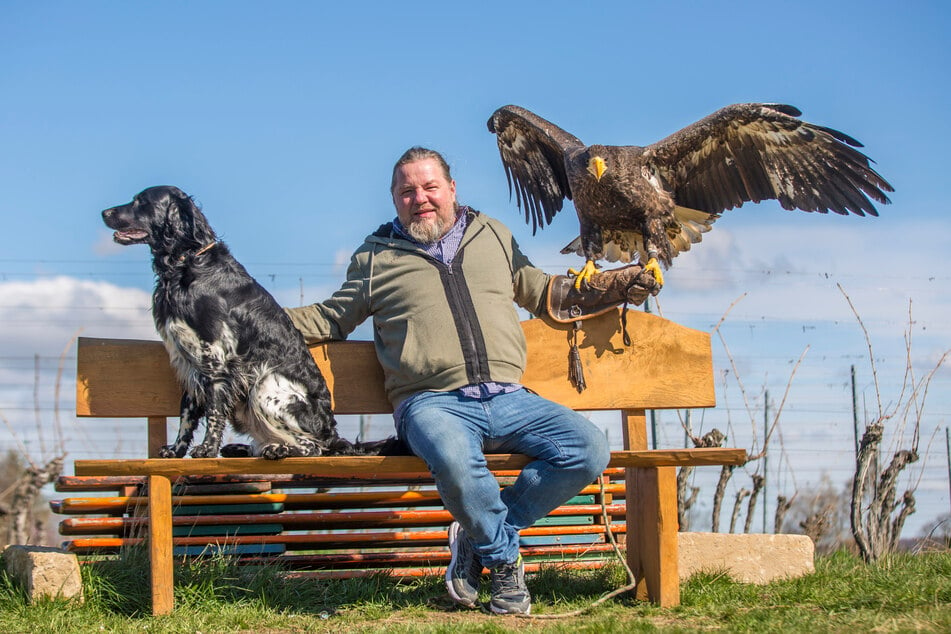 Mit seiner Greifvogelschau ist Hans-Peter Schaaf mit am Start.