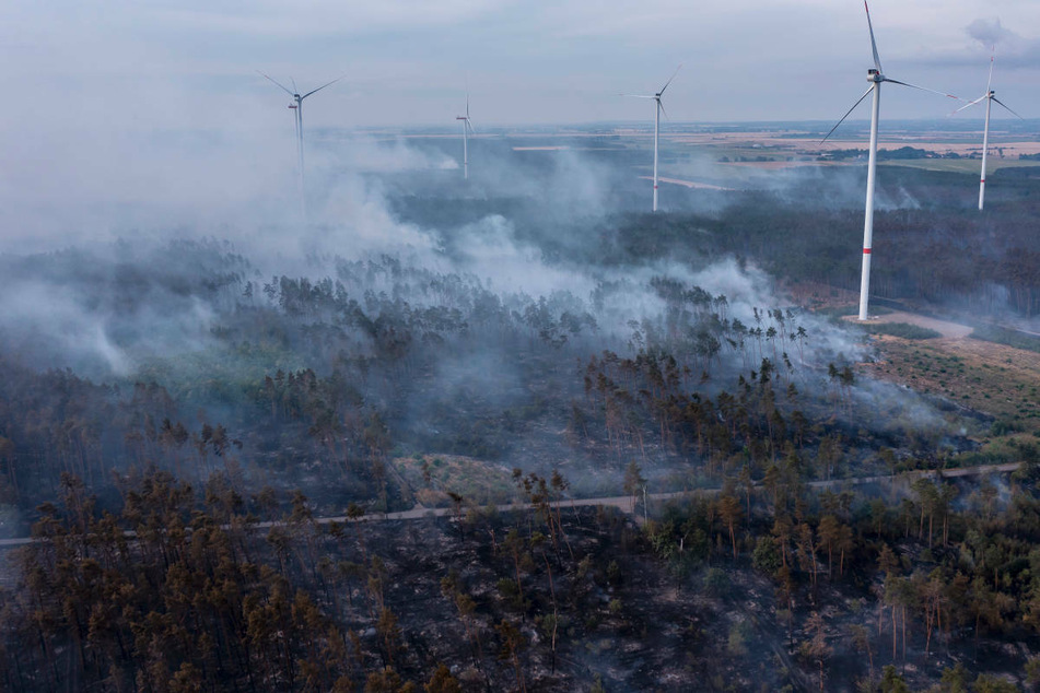 In der Nähe von Falkenberg hat Ende Juli in Südbrandenburg ein Waldgebiet auf einer Fläche von rund 800 Hektar gebrannt.