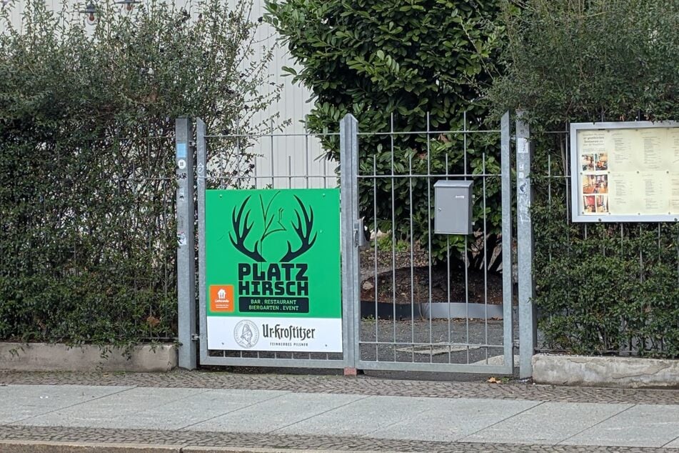 Miete, Strom sowie Kosten für Lebensmittel hätten immer neue Löcher in den Geldbeutel gerissen. Inzwischen habe sich ein Minus von "einer Viertelmillion Euro" angehäuft.