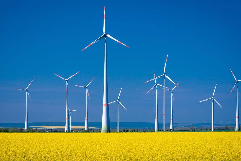 Auch der Bereich erneuerbare Energien gehört zur Zukunftsstrategie in Sachsen-Anhalt.