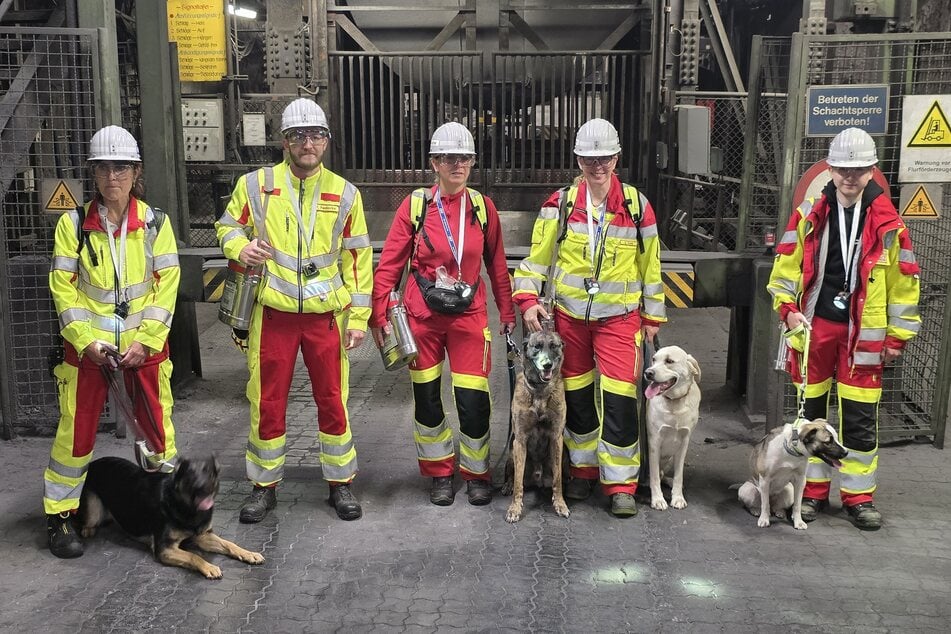 Der Rettungshundezug vom Arbeiter-Samariter-Bund Magdeburg kommt zur Bibliothek. (Archivbild)