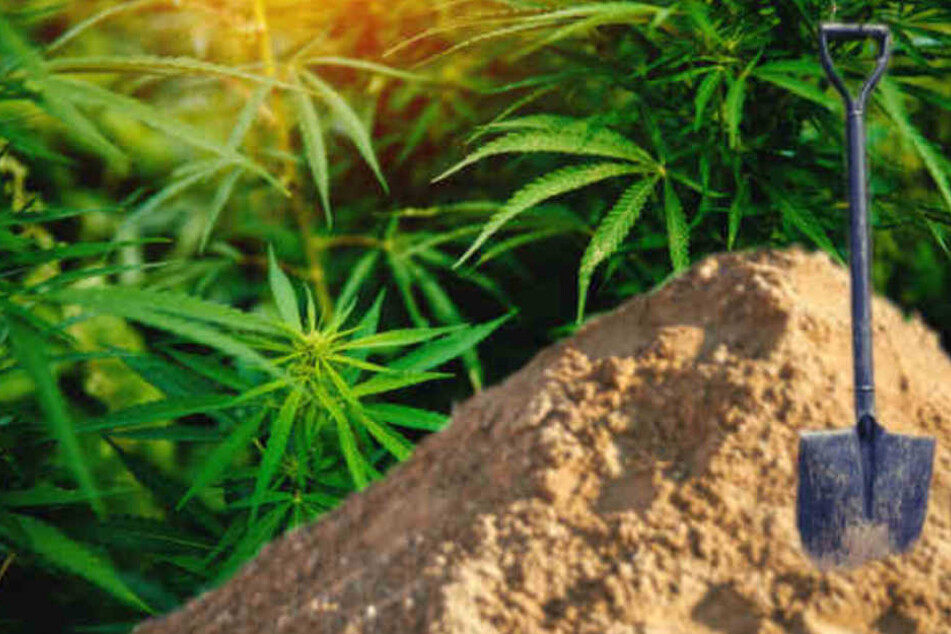 Auf einem Firmengelände verbuddelte sich der 35-jährige Verdächtige im Sand.