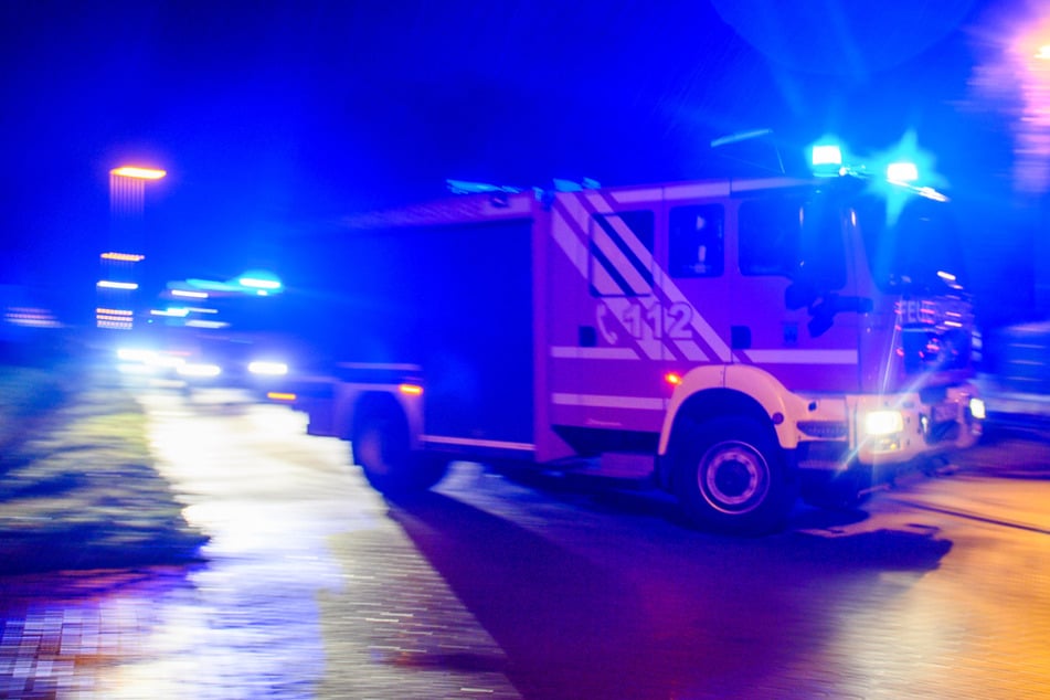 Senior fackelt eigene Parzellen ab: Dahinter steckt ein kurioser Grund