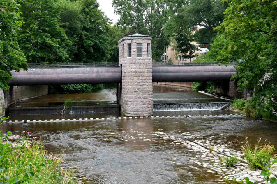 Die Stadt Chemnitz ließt die Graffiti für etwa 2600 Euro entfernen.