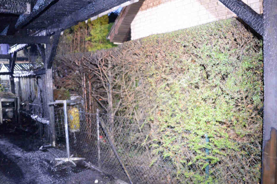 Eine Hecke gab dem Feuer zusätzlich Nahrung.