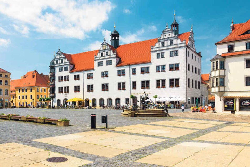 Torgau ist berühmt für seine Schönheit - und bald auch für seine Pilze!?