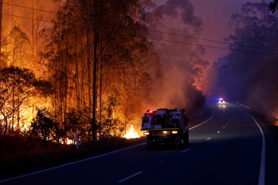 Feuer brennen in einem Waldgebiet am Pacific Highway, auf dem ein Einsatzfahrzeug der Feuerwehr steht.