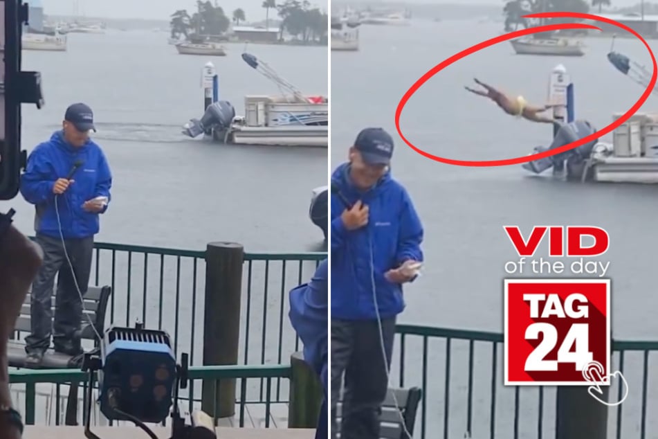 viral videos: Viral Video of the Day for August 8, 2024: Florida man strikes again during Tropical Storm Debby!