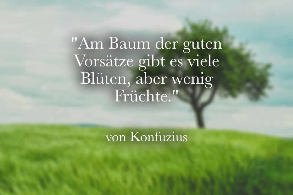 Ein weiser Spruch des Konfuzius: "Am Baum der guten Vorsätze gibt es viele Blüten, aber wenig Früchte."