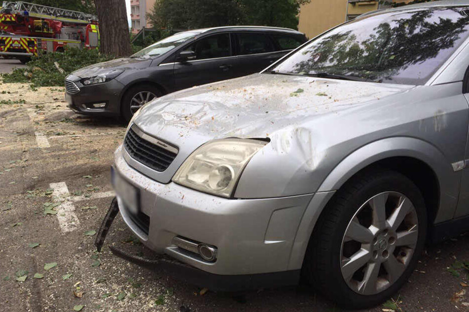 Mehrere Autos wurden von den herabstürzenden Ästen stark beschädigt.