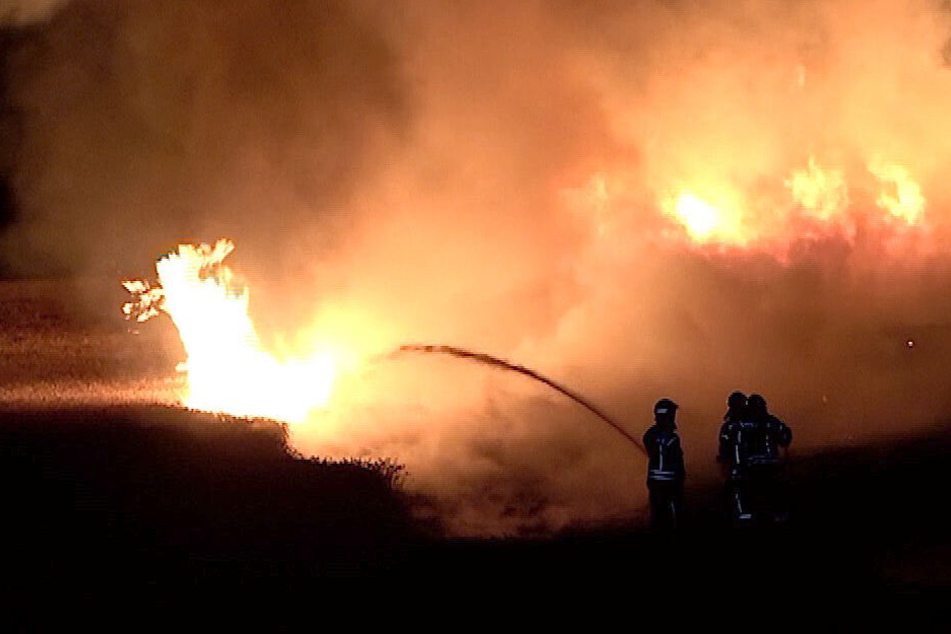 Im Salzlandkreis wurden die Feuerwehren gleich dreimal hintereinander alarmiert.