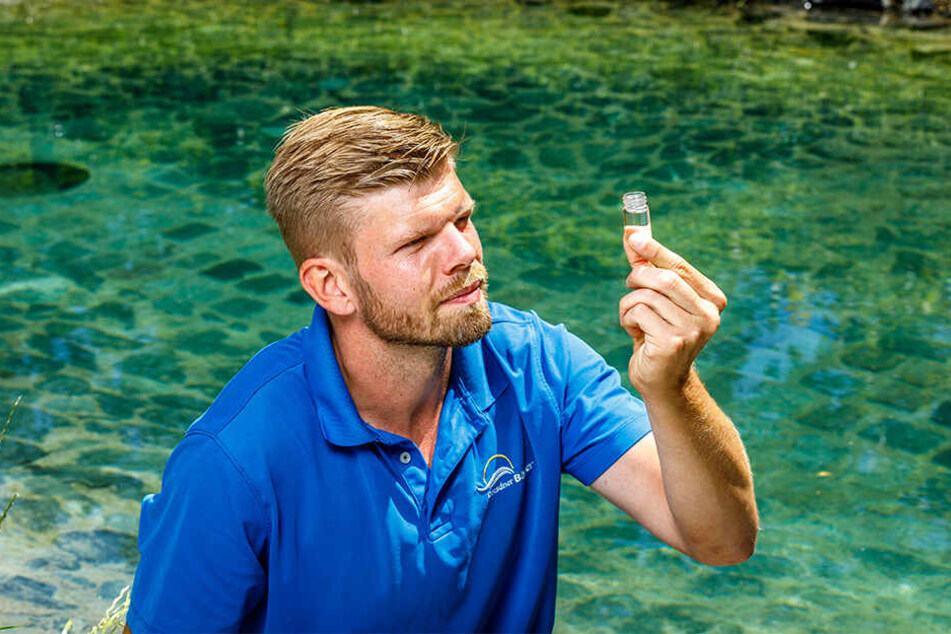 Regelmäßig muss die Wasserqualität in den Bädern geprüft werden, wie hier vom Mockritzer Badleiter Christian Zetzsche (33).