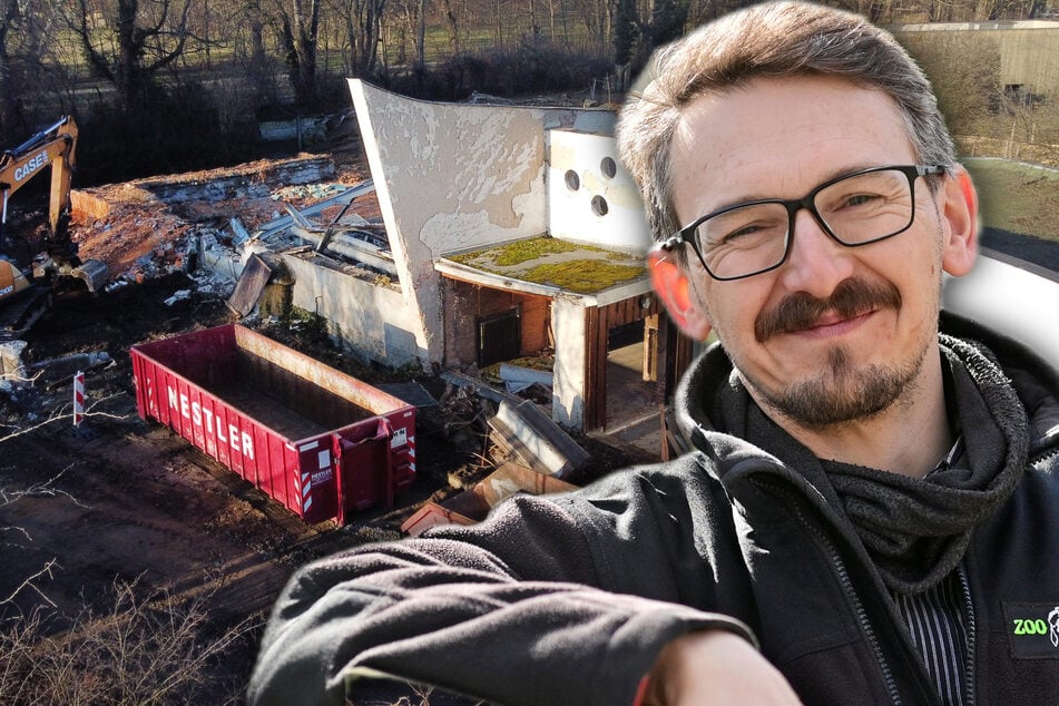 Hier entsteht die neue Stube für Zebras und Giraffen - doch etwas muss weichen