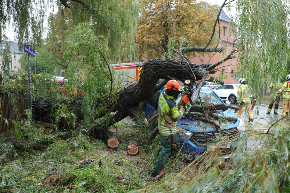 Mit Kettensägen zerkleinerte die Feuerwehr den Ast.